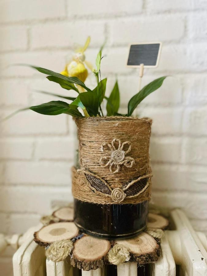 Skopje Cozy Apartment エクステリア 写真